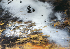 Demo image